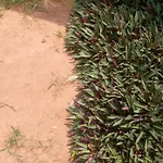 아파트 Ahouignan Ghislain *