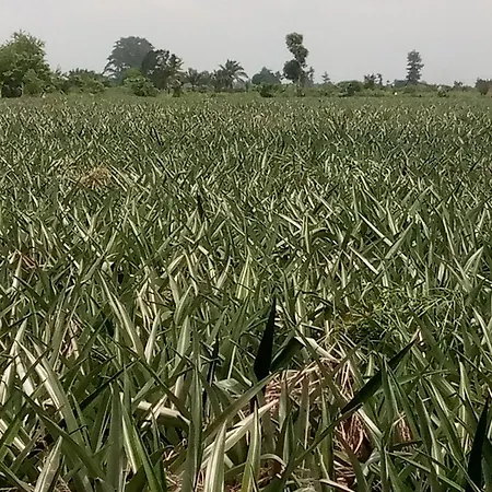 شقة Ahouignan Ghislain