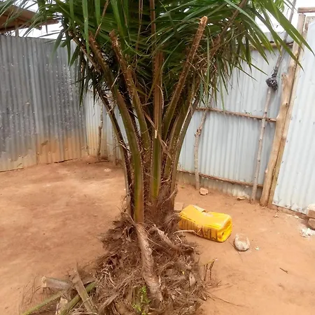 Ahouignan Ghislain * Saint-Avold