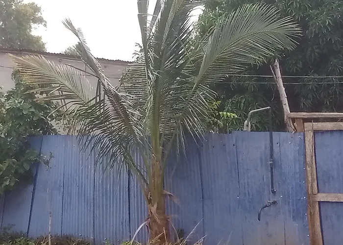 Apartment Ahouignan Ghislain *