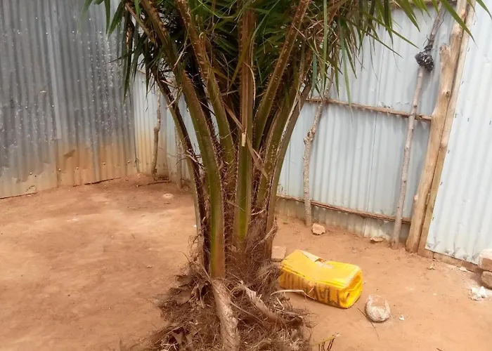 Ahouignan Ghislain * Saint-Avold